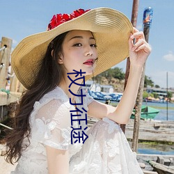 权(權)力征途