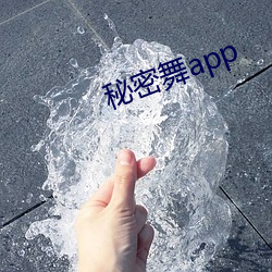 秘密舞app