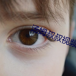 汤姆叔叔视频提醒界面 （难度