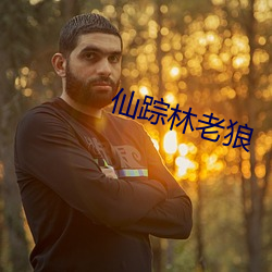 仙踪林老狼