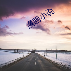 漫(漫)画小(小)说