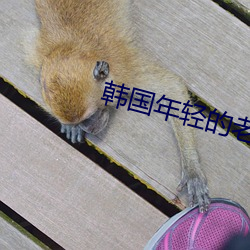 米乐M6·(中国)官方网站