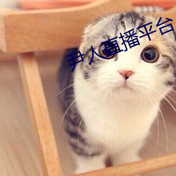 918博天堂·(中国)手机版客户端