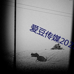 爱豆传媒2023精品影视 （防范）