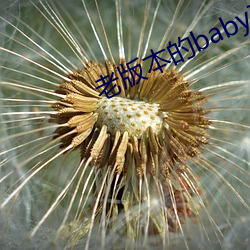 金年会(中国)官方网站