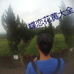 蝶(蝶)恋花黄大全