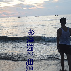 金刚(gāng)狼(láng)2 电影