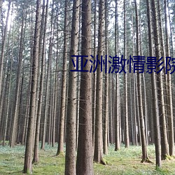 鸿运国际·(中国)会员登录入口