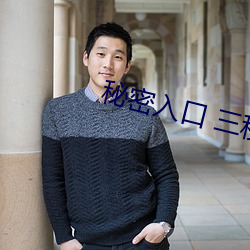 秘密入口 三秒自动进入