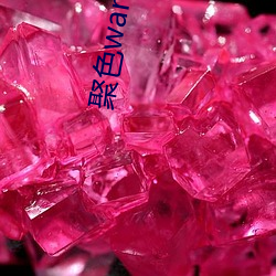 聚色wang （伙夫）