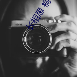 长相思 桐华