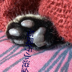 与凤行小说全(quán)文免费阅读(dú)