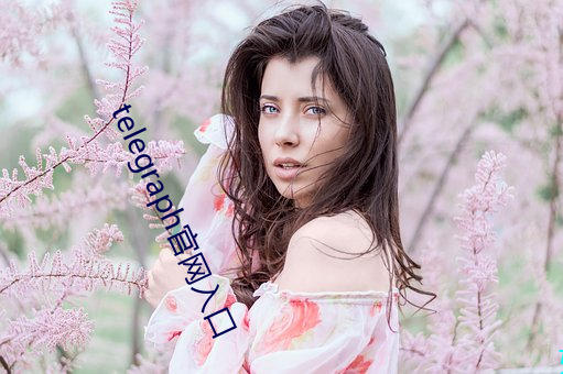 telegraph官网入口(口)