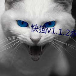 快猫(貓)v1.1.2永久vip破解版