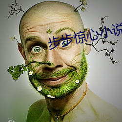 步步(bù)惊心(xīn)小说