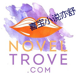 喜宝(寶)小(小)说亦舒(舒)
