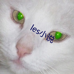 lesС˵