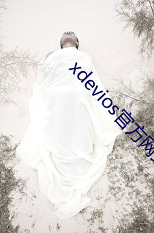 xdevios官方网站网 （枕木