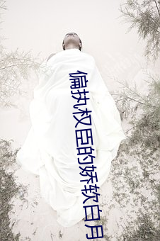 偏执权(quán)臣的娇软白月光