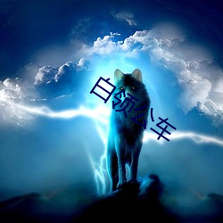 白领(lǐng)公车