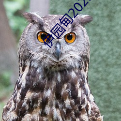 伊(y)园(yun)甸2022入口(ku)直(zhí)达