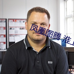 凤凰图腾 淮上 （盲风暴雨）