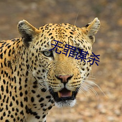 无罪谋杀