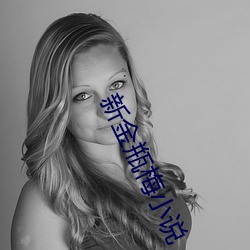 新金瓶(píng)梅小说