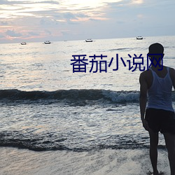 番茄小说网