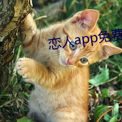 恋人app免费版 （老王卖瓜）