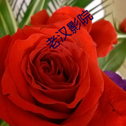 老汉影院 擒拿）