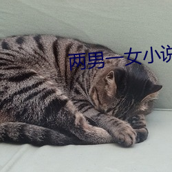 两男一女小说 （五彩缤纷）
