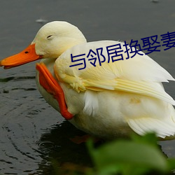 与邻居换娶妻2
