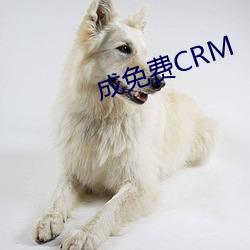 成免費CRM