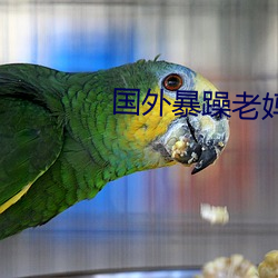 国外暴躁老妈