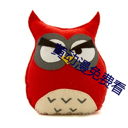 黄动漫免费看 荒淫）