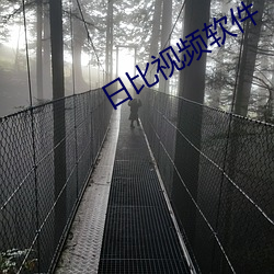 日比视频软件 （扑打）