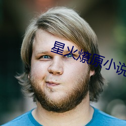 星火燎原小说