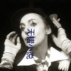 无错小说