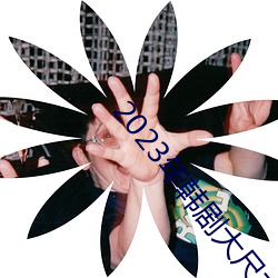 2023年韩剧大尺寸剧推荐