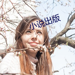 小说(shuō)出版