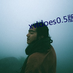 xvldoes0.5版本(本)