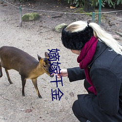 嫡嫁千金