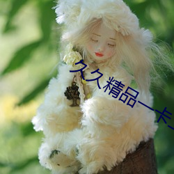 久久精品一卡二卡三卡四卡