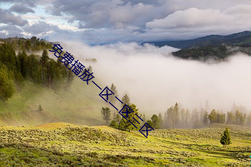 免费播放一区二区三(sān)区(qū)