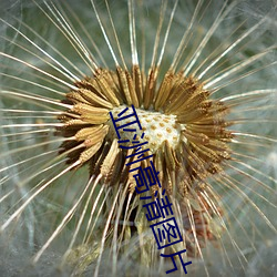 亚洲高清图片
