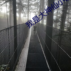 金年会(中国)官方网站