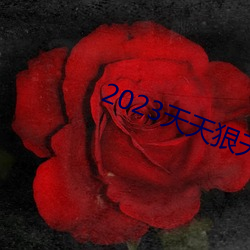 2023天天狠天天乐天天 （谩辞譁说）