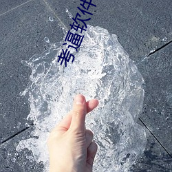 考逼软件下载
