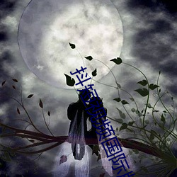 抖短视频国(國)际版
